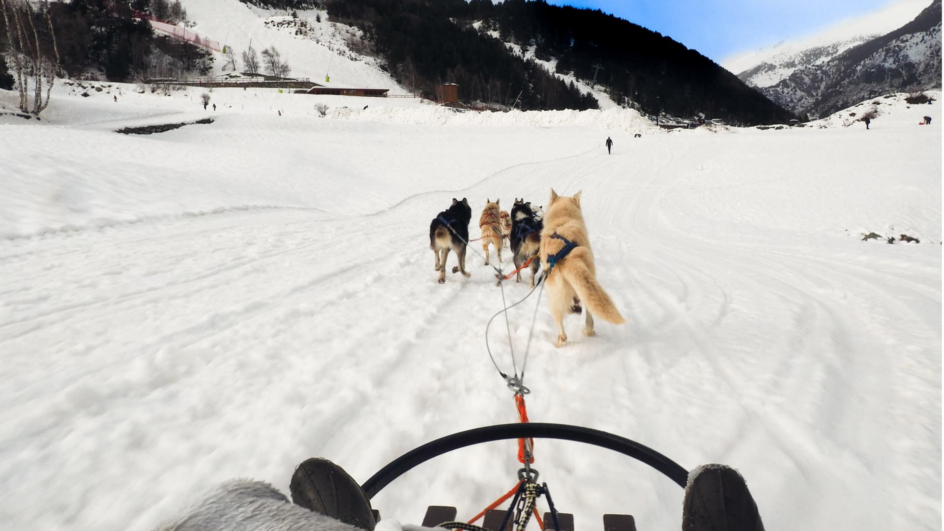 Mushing in Andorra