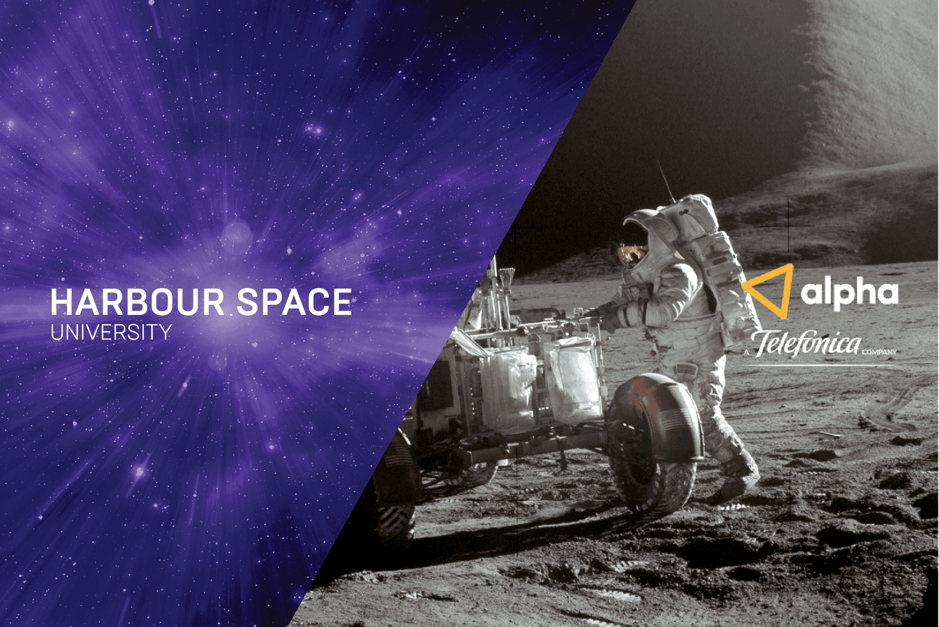 Harbour.Space x Telefonica Alpha how to survive your first hackathon