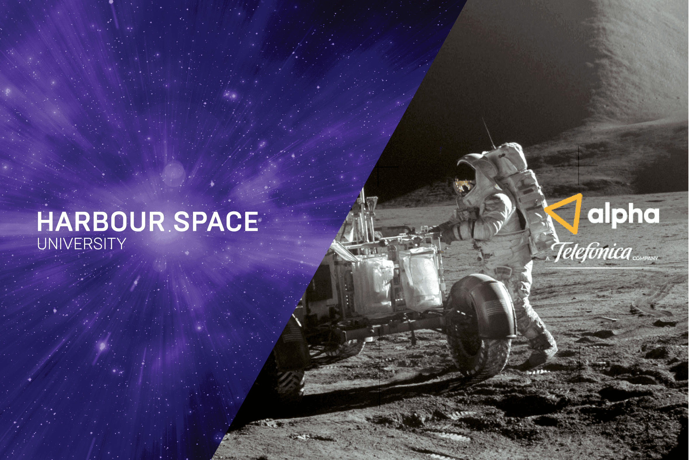 Harbour.Space x Telefonica Alpha how to survive your first hackathon