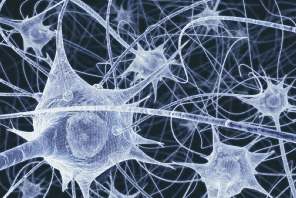 New mathematical method reveals structure in neural activity in the brain